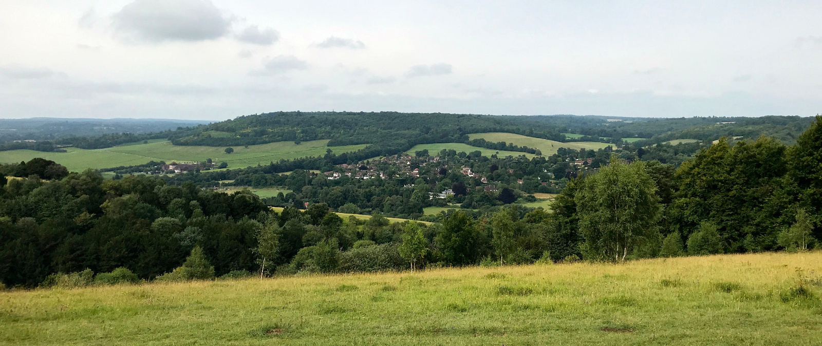 Box Hill, Surrey 8 3 19